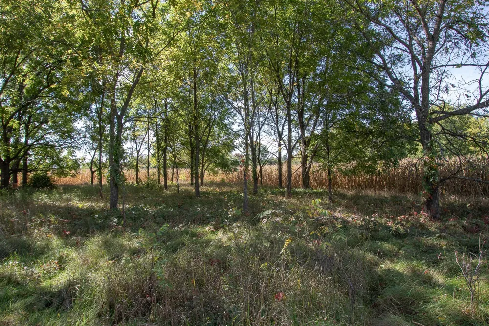 617 Central Drive E Braham, MN 55006