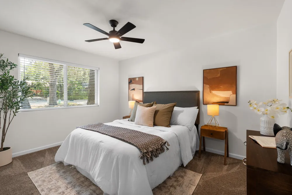 7204 Towering Oaks Drive Austin, TX 78745