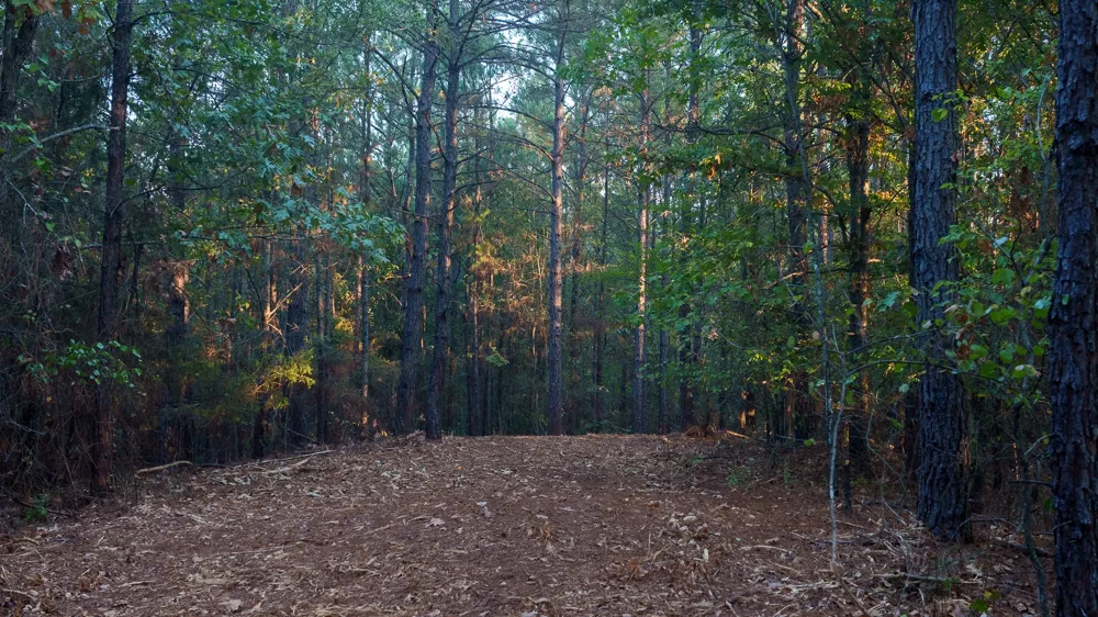 FM 2015 Tyler, TX 75708