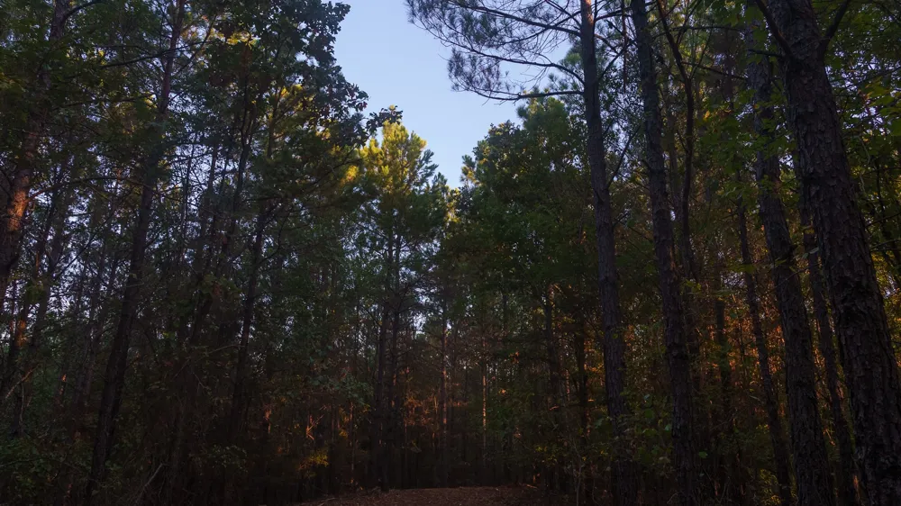 FM 2015 Tyler, TX 75708