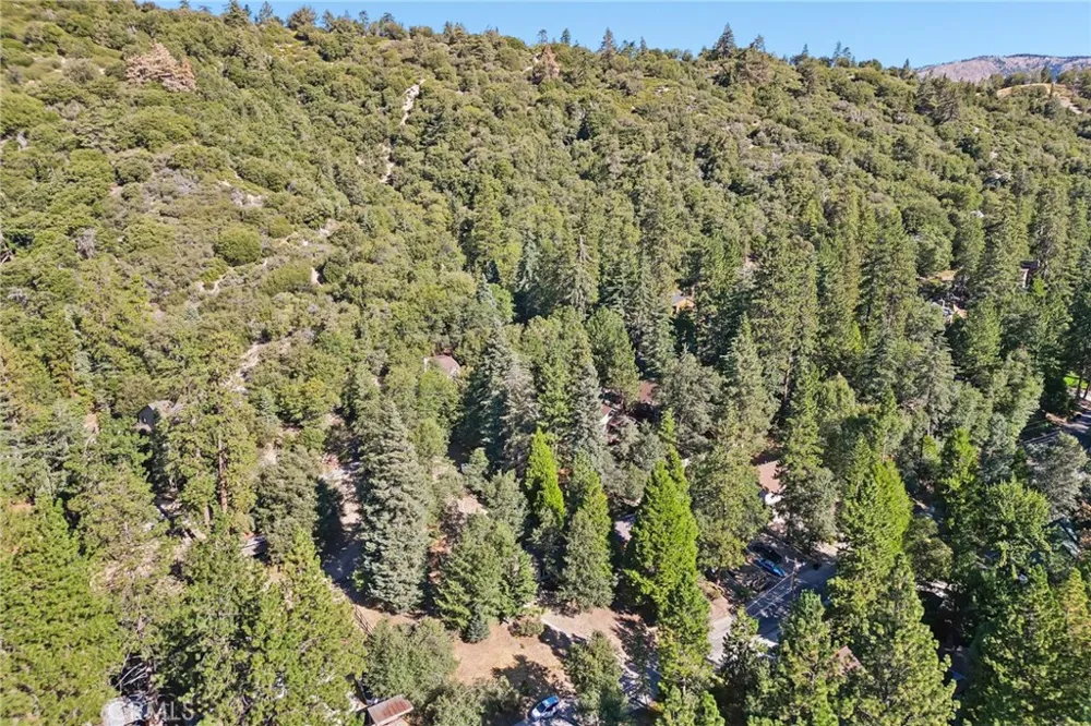 6028 Lake Angelus Oaks, CA 92305