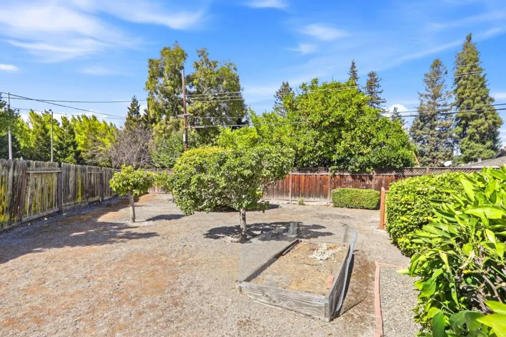 874 San Ardo Way Mountain View, CA 94043