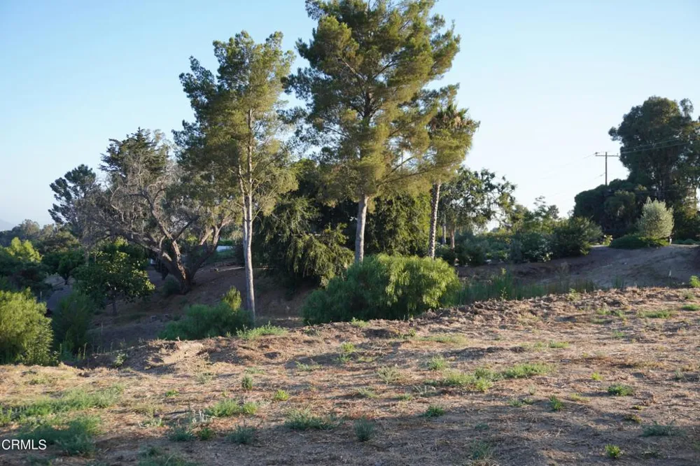 Vientos Road Camarillo, CA 93010