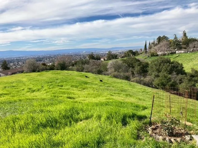 15221 Camelot Drive San Jose, CA 95132
