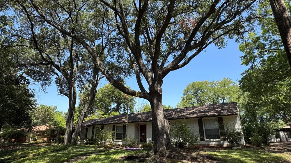 3543 Warick Drive Dallas, TX 75229