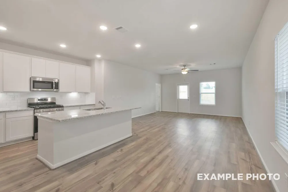 229 East Canopy Crossing Circle Conroe, TX 77301