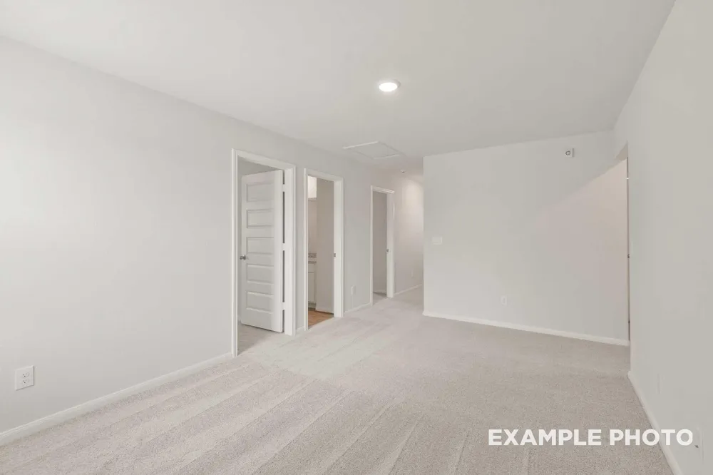 229 East Canopy Crossing Circle Conroe, TX 77301