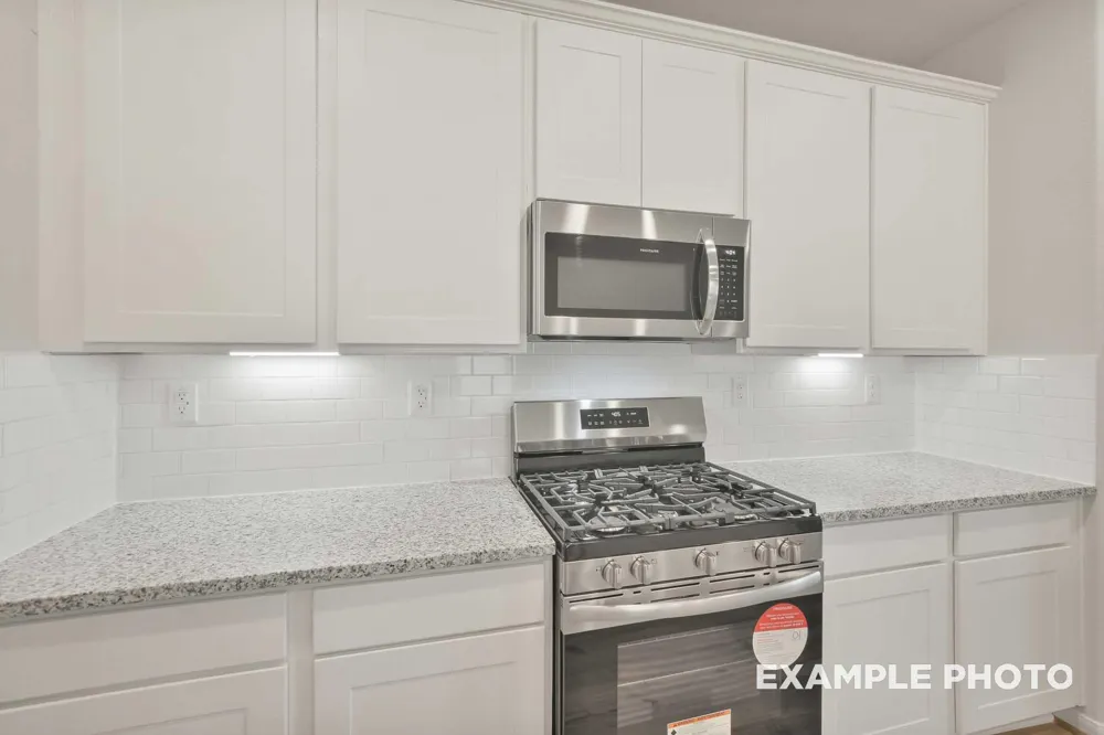 229 East Canopy Crossing Circle Conroe, TX 77301