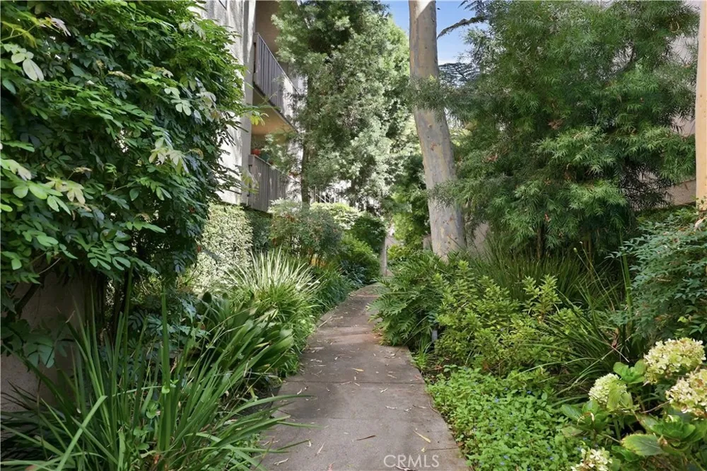15207 Magnolia Boulevard #119 Sherman Oaks, CA 91403