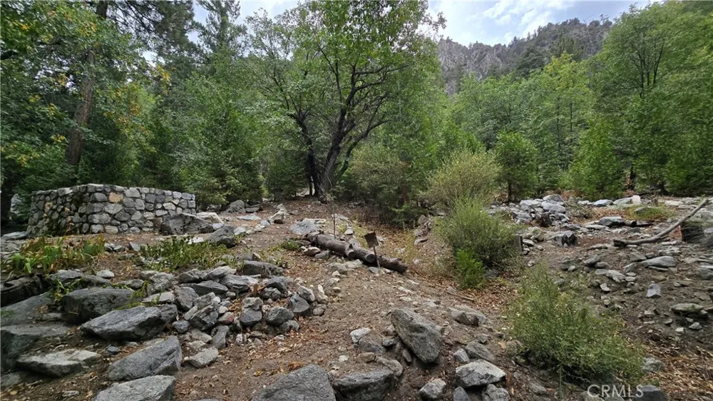 9256 Wood Forest Falls, CA 92339