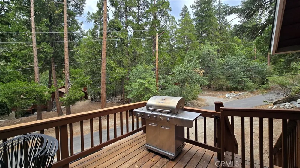 9256 Wood Forest Falls, CA 92339