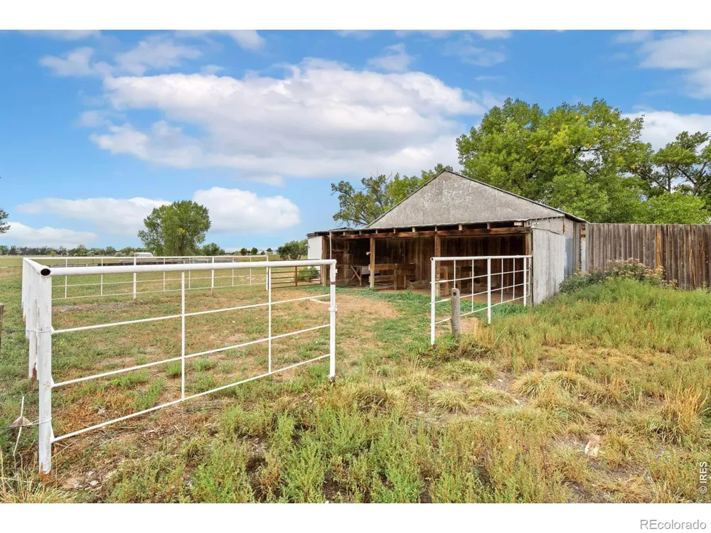 4526 E County Road 64 Wellington, CO 80549