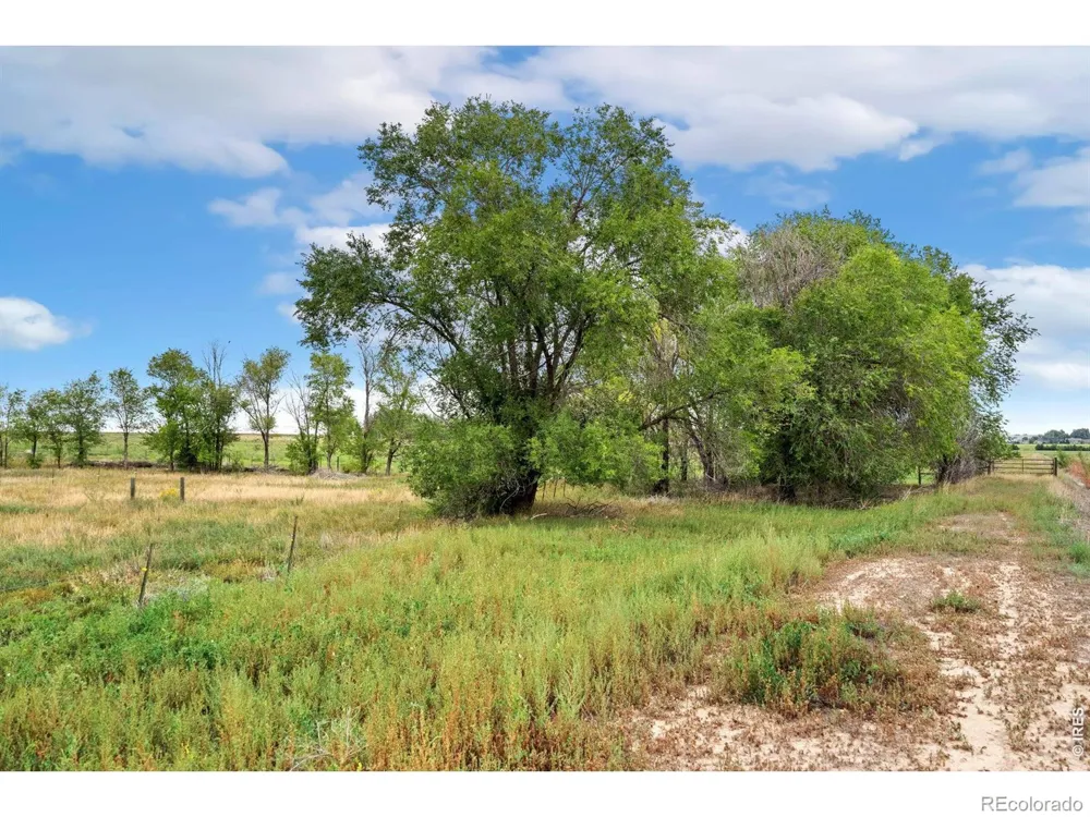 4526 E County Road 64 Wellington, CO 80549