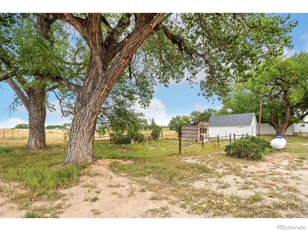 4526 E County Road 64 Wellington, CO 80549