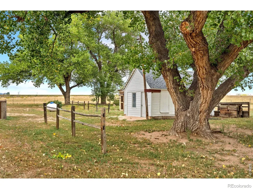 4526 E County Road 64 Wellington, CO 80549