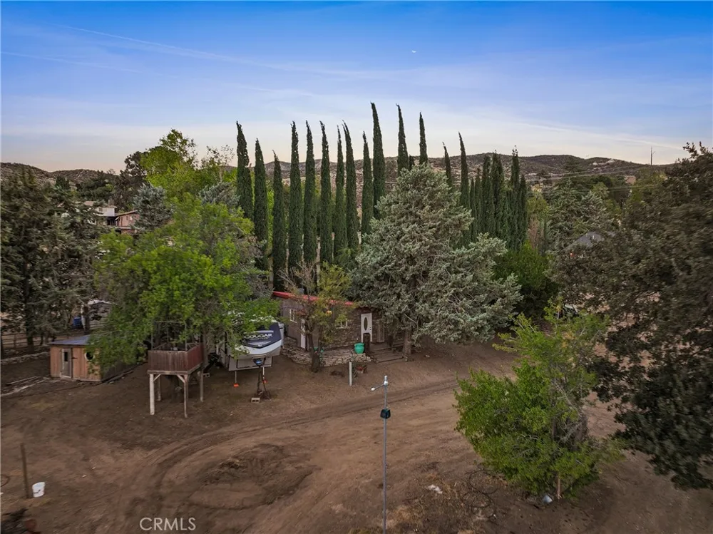 40016 90th st w Leona Valley, CA 93551