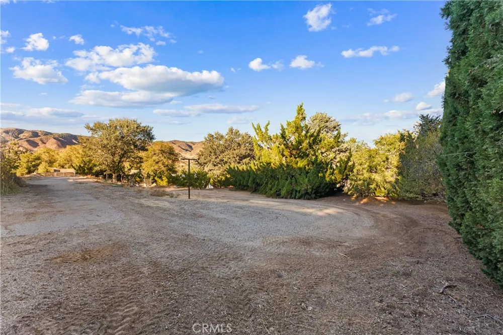 40016 90th st w Leona Valley, CA 93551
