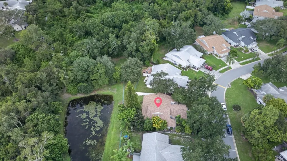 3178 CLOVERPLACE DRIVE Palm Harbor, FL 34684