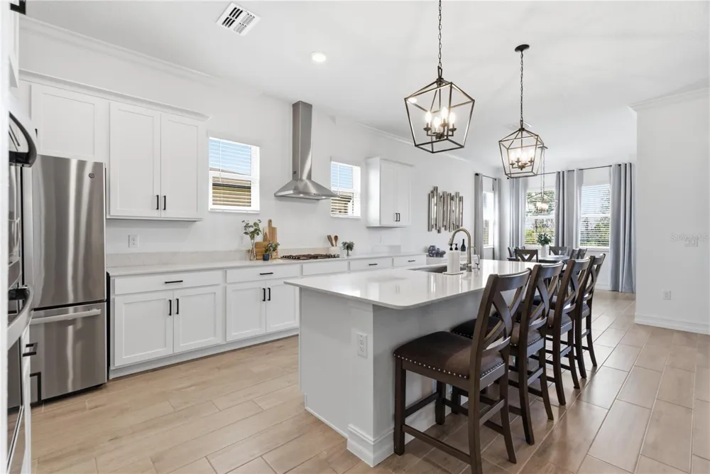 8908 LITTLE BLUESTEM DRIVE Land O Lakes, FL 34637