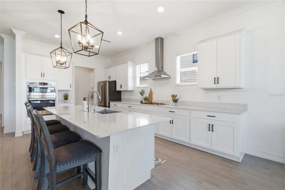 8908 LITTLE BLUESTEM DRIVE Land O Lakes, FL 34637