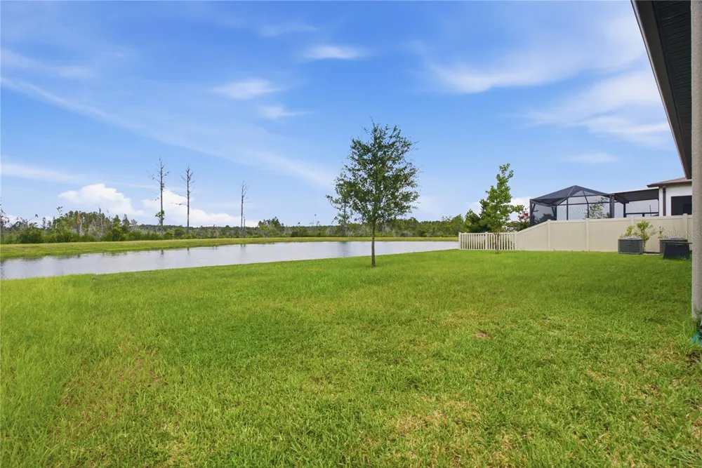 8908 LITTLE BLUESTEM DRIVE Land O Lakes, FL 34637