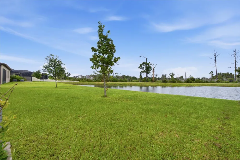 8908 LITTLE BLUESTEM DRIVE Land O Lakes, FL 34637