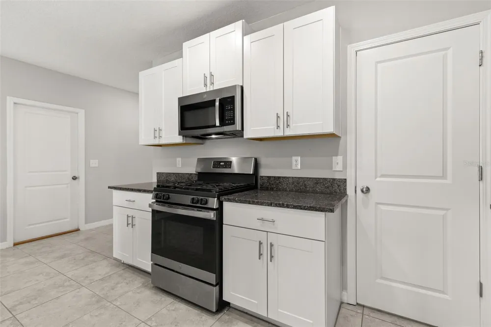 5061 WHITE CHICORY DRIVE Apollo Beach, FL 33572