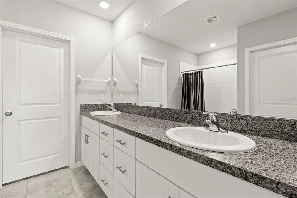 5061 WHITE CHICORY DRIVE Apollo Beach, FL 33572
