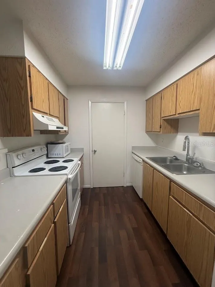 13367 ARBOR POINTE CIRCLE #201 Tampa, FL 33617
