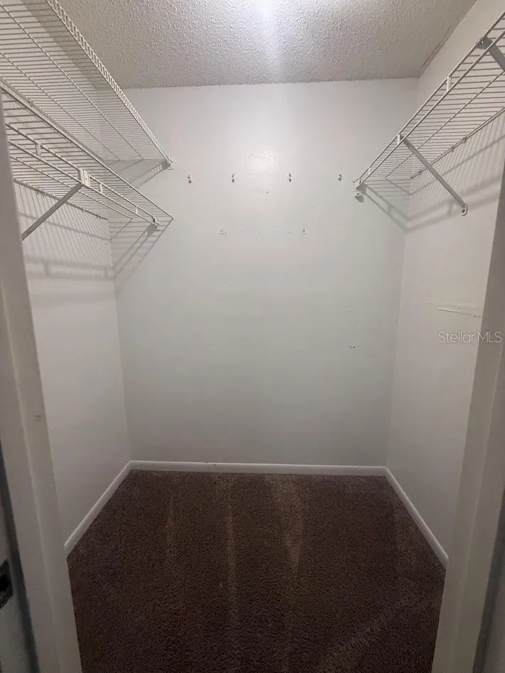 13367 ARBOR POINTE CIRCLE #201 Tampa, FL 33617