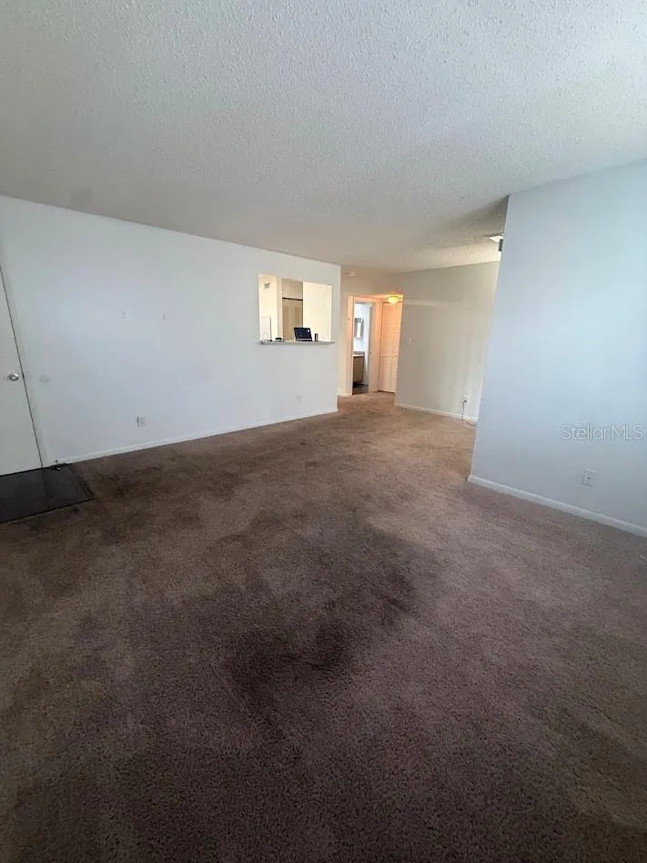 13367 ARBOR POINTE CIRCLE #201 Tampa, FL 33617