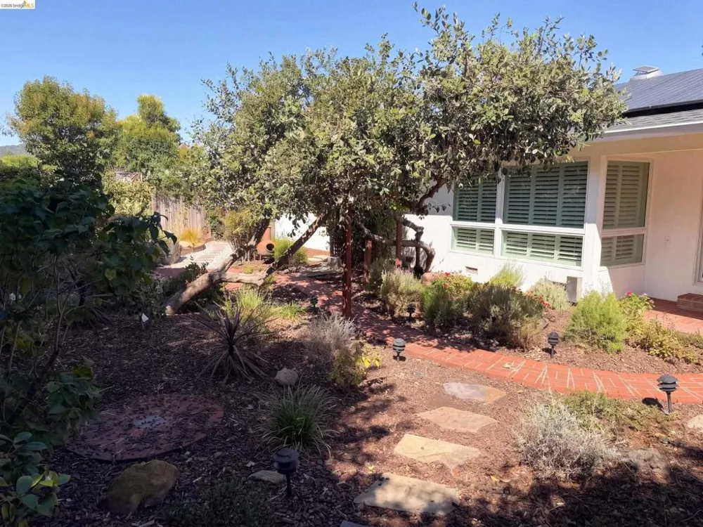 447 Via Del Plano Novato, CA 94949
