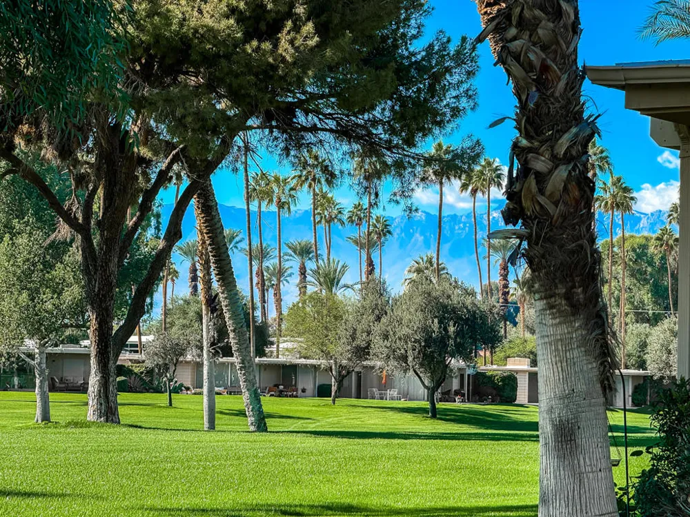42505 Adams Street Indio, CA 92203