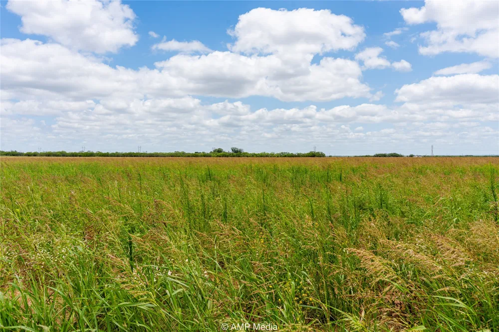 FM 1082 Highway Hawley, TX 79525