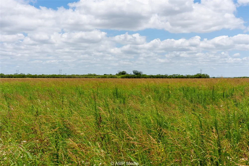 FM 1082 Highway Hawley, TX 79525