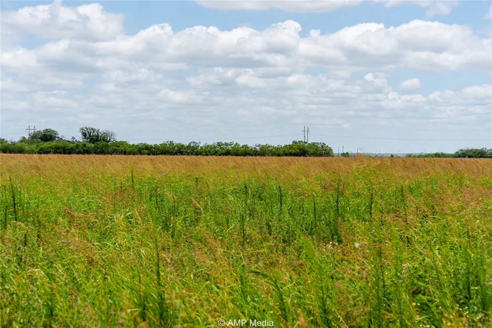 FM 1082 Highway Hawley, TX 79525