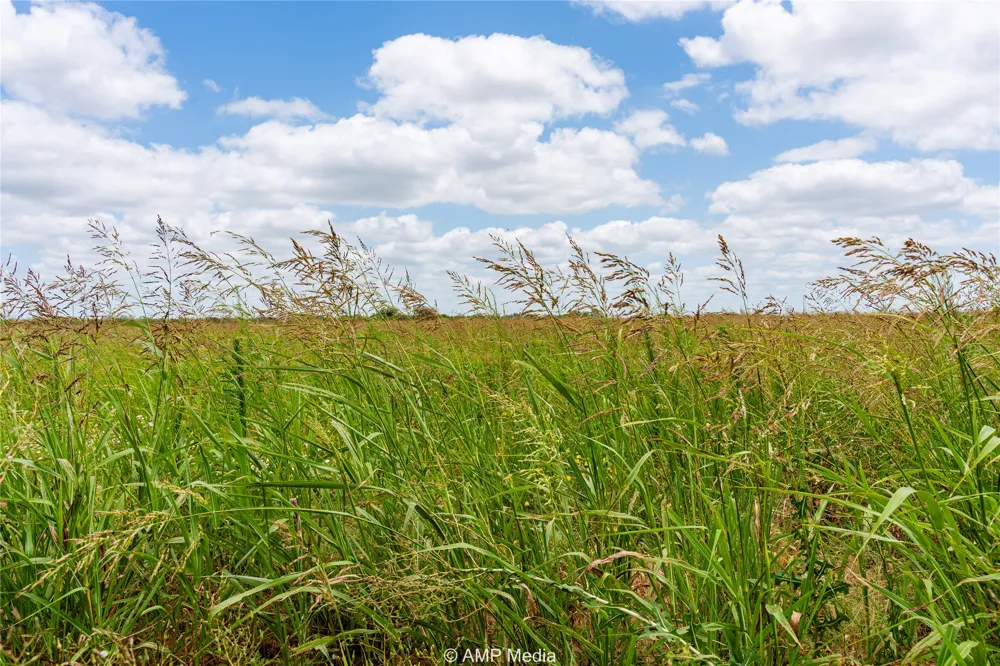 FM 1082 Highway Hawley, TX 79525