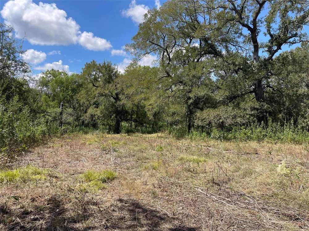 Cr 220- Wharton, TX 77488