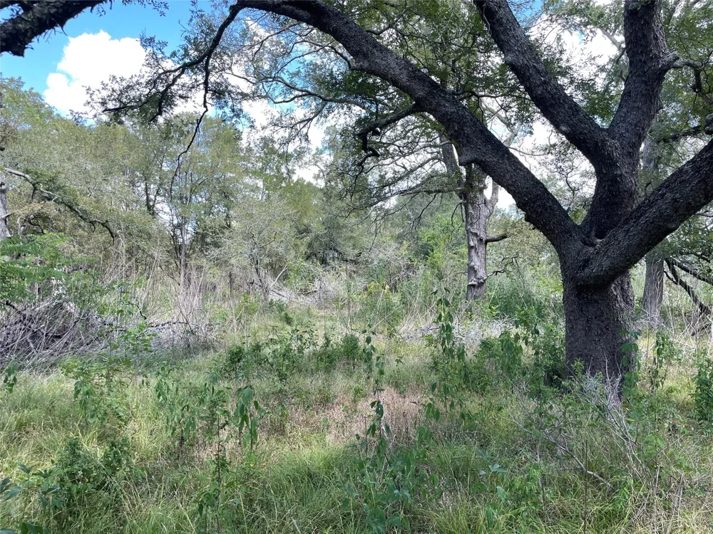 Cr 220- Wharton, TX 77488