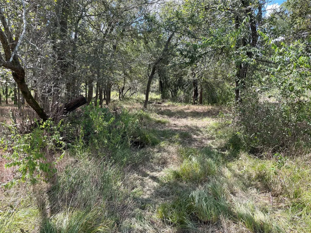 Cr 220- Wharton, TX 77488