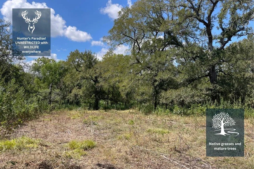 Cr 220- Wharton, TX 77488
