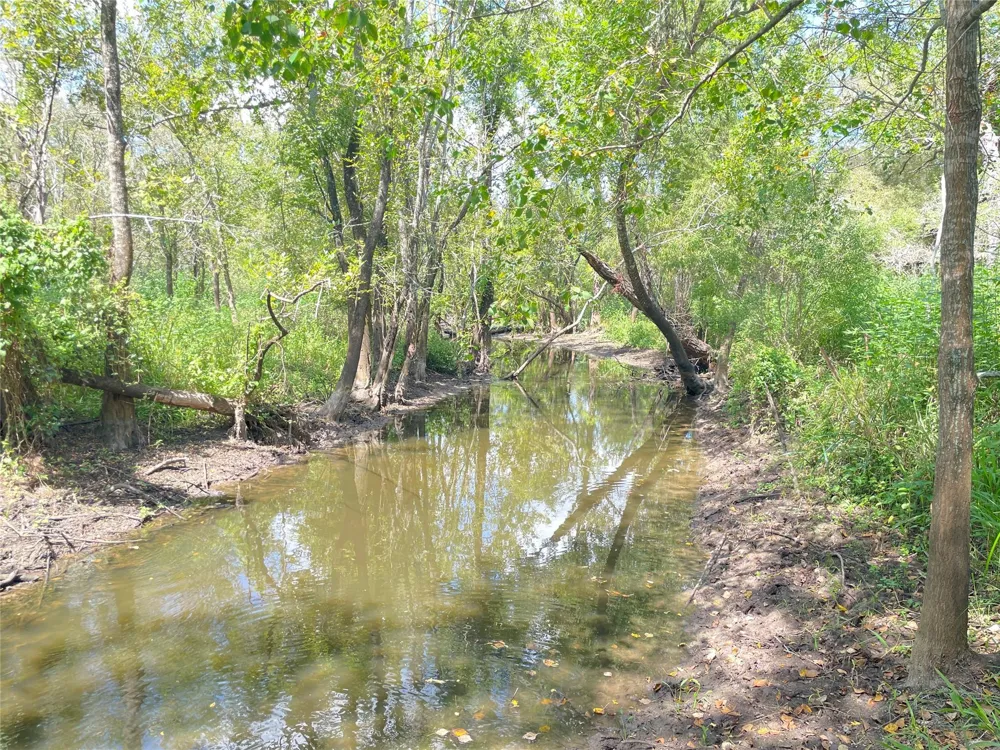 Cr 220- Wharton, TX 77488