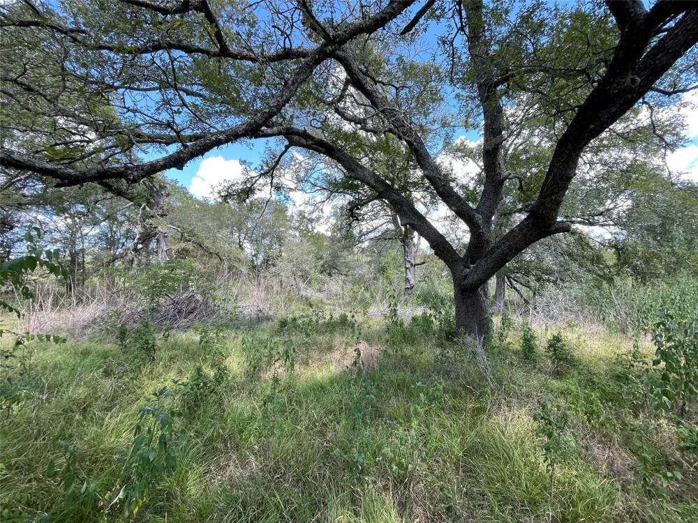 Cr 220- Wharton, TX 77488