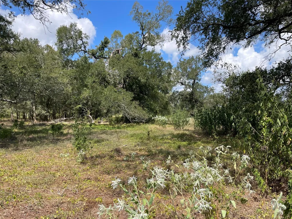 Cr 220- Wharton, TX 77488