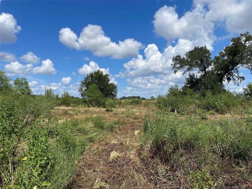 Cr 220- Wharton, TX 77488