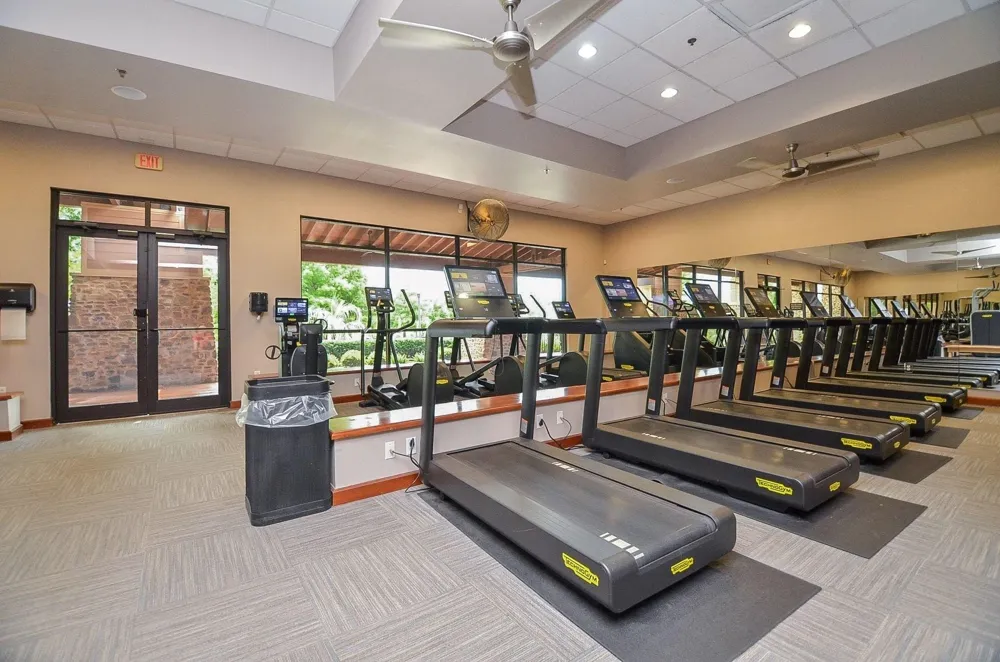 551 Emory Peak Drive Richmond, TX 77469