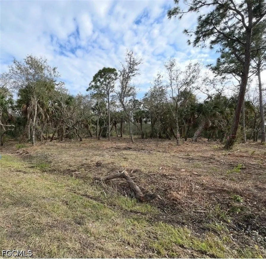 Suede Drive Punta Gorda, FL 33955