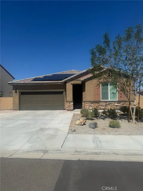 12454 Pinos Verde