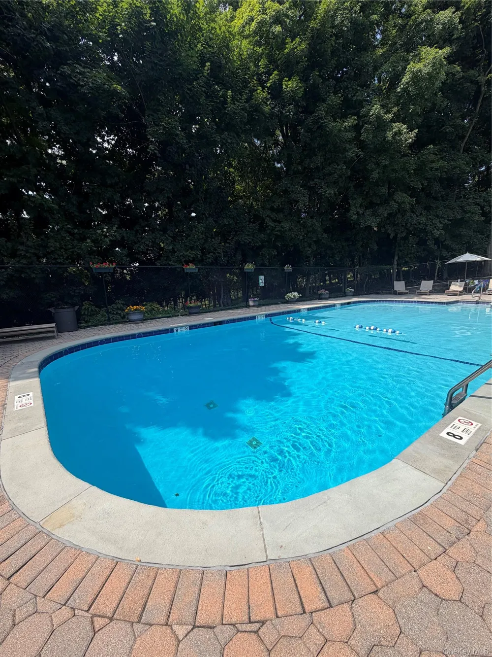 3 W Lawrence Park Drive #1 Piermont, NY 10968