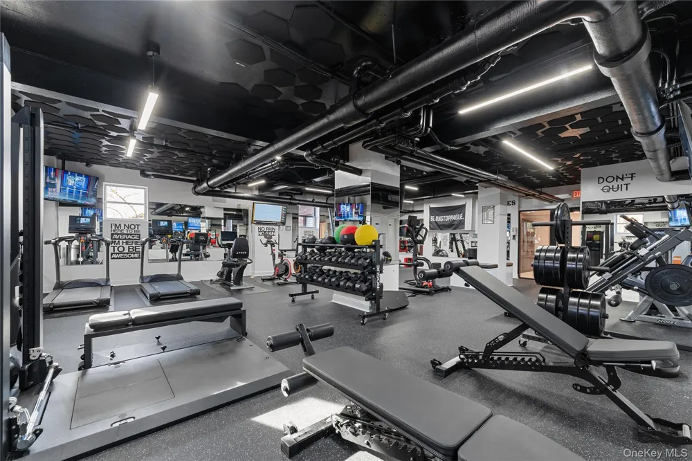 230 Pelham Road #4L New Rochelle, NY 10805